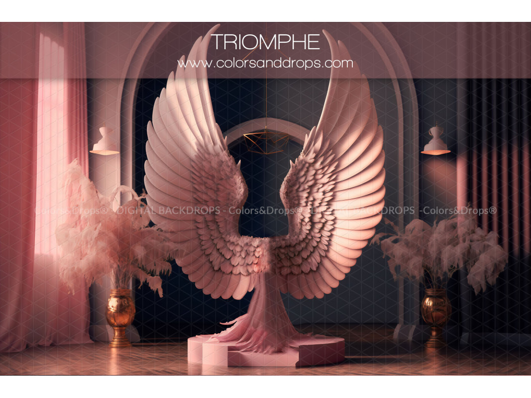 X6 TRIOMPHE DIGITAL BUNDLE