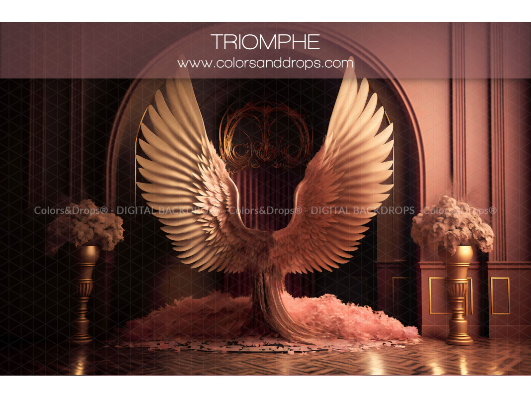 X6 TRIOMPHE DIGITAL BUNDLE