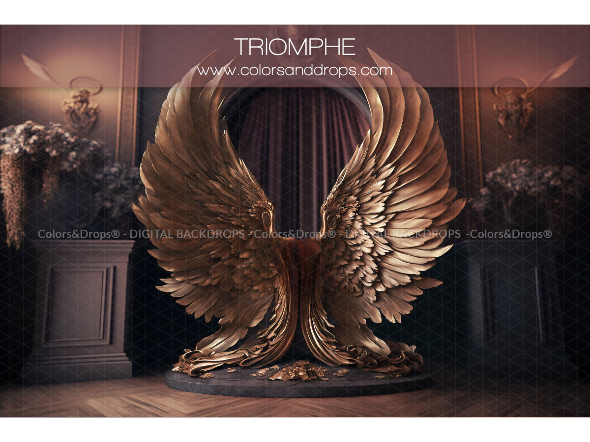 X6 TRIOMPHE DIGITAL BUNDLE
