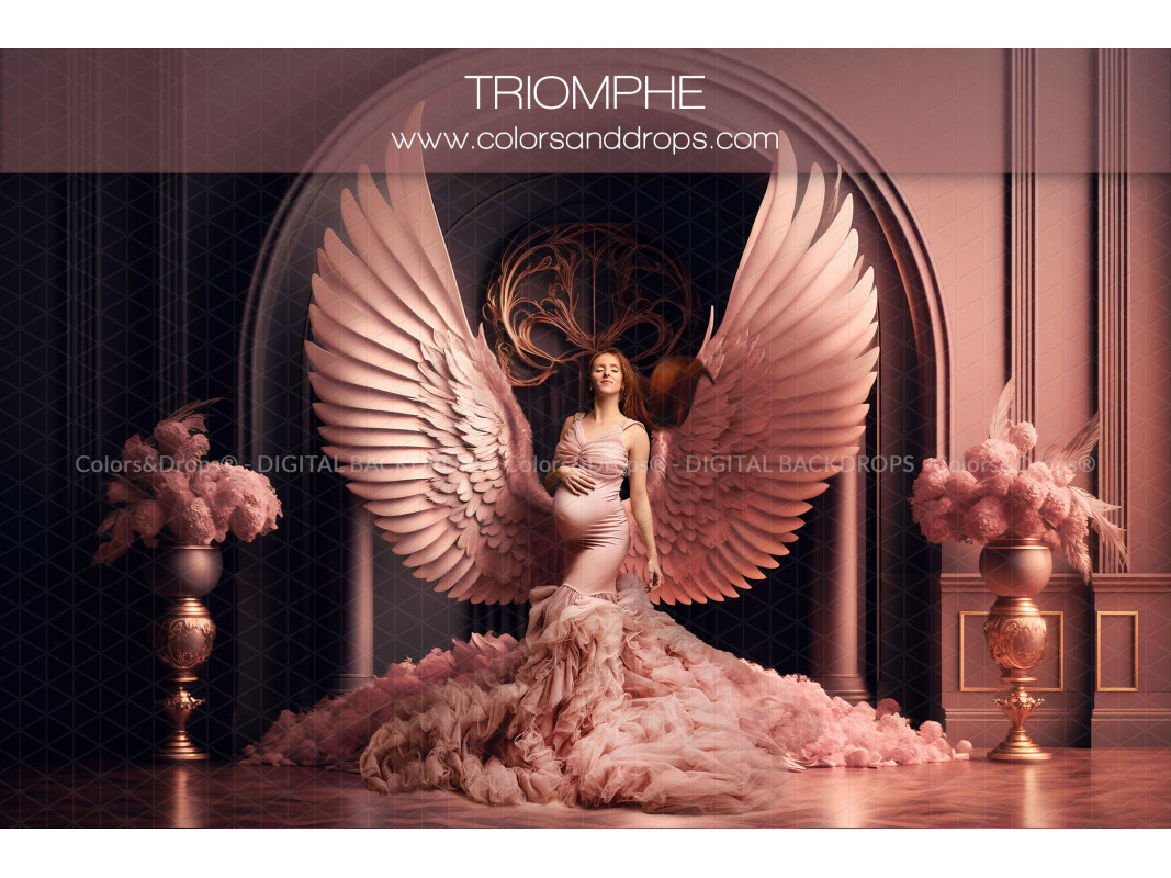 X6 TRIOMPHE DIGITAL BUNDLE