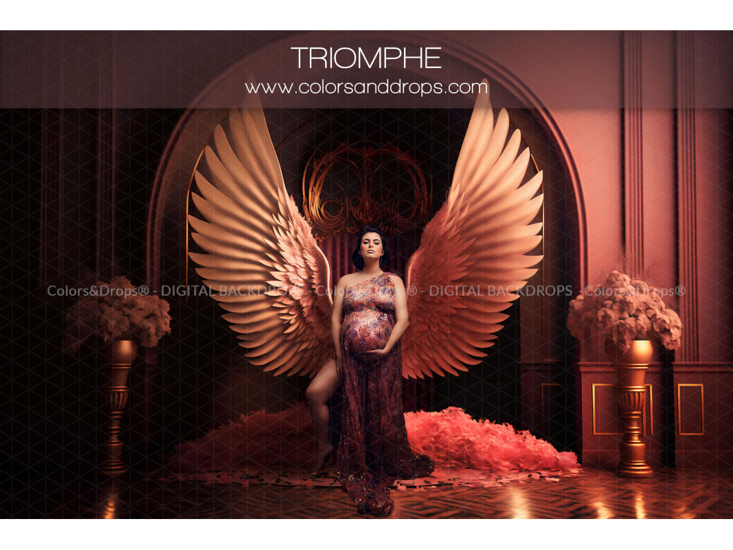 X6 TRIOMPHE DIGITAL BUNDLE
