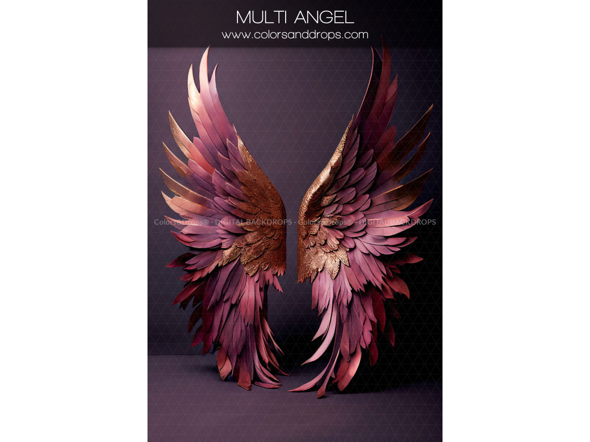 X14 MULTI ANGEL DIGITAL BUNDLE