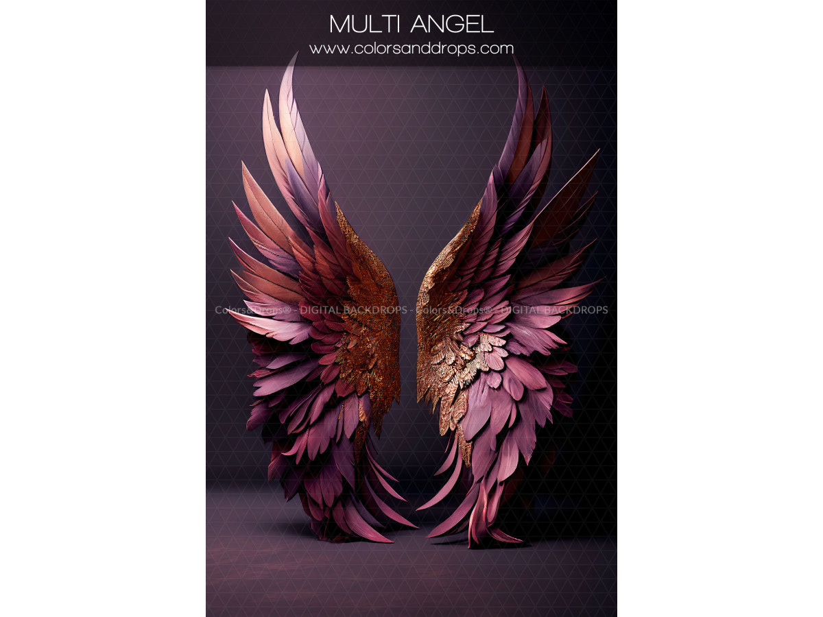 X14 MULTI ANGEL DIGITAL BUNDLE