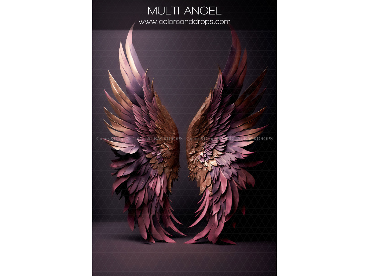 X14 MULTI ANGEL DIGITAL BUNDLE