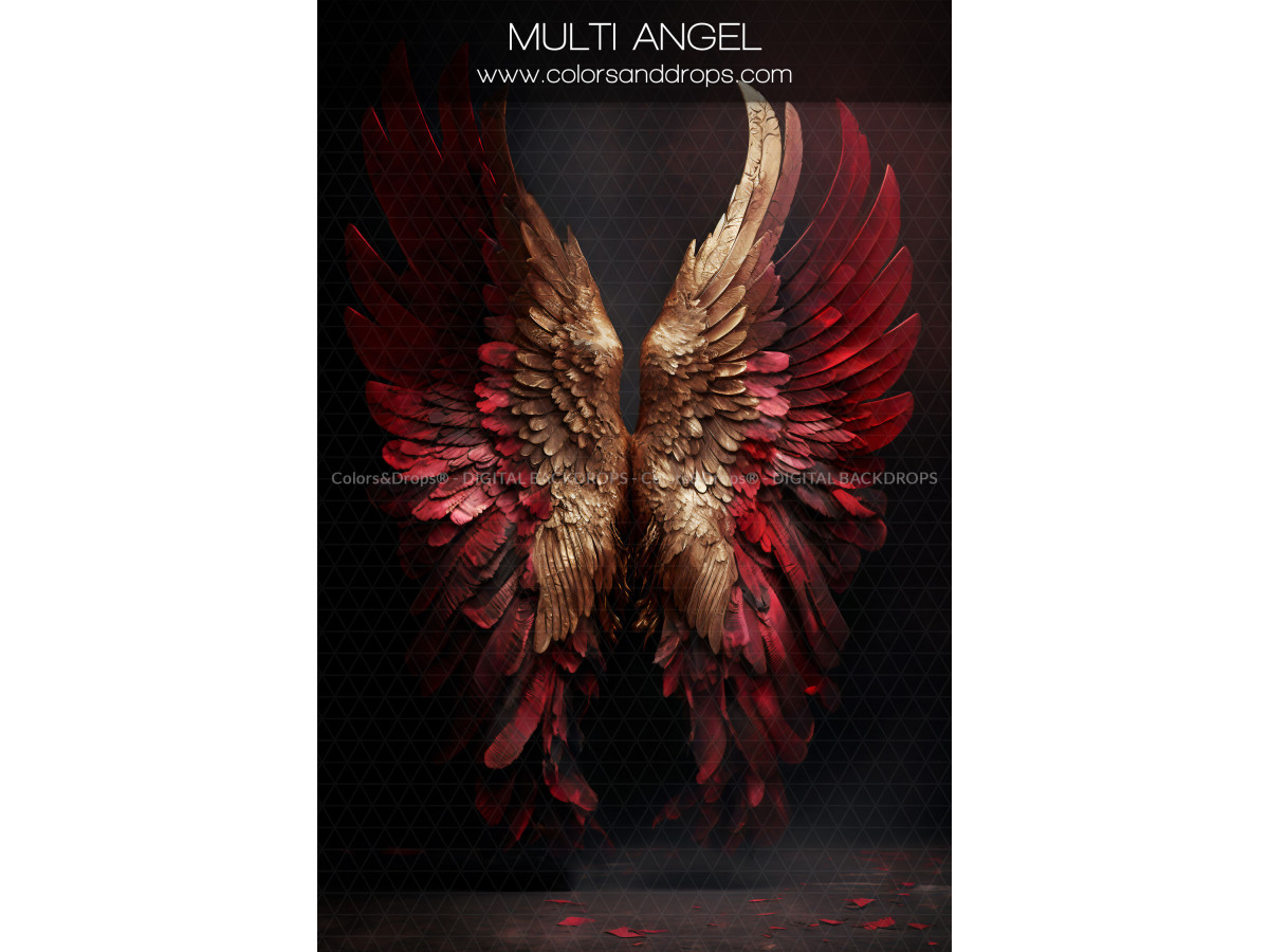 X14 MULTI ANGEL DIGITAL BUNDLE