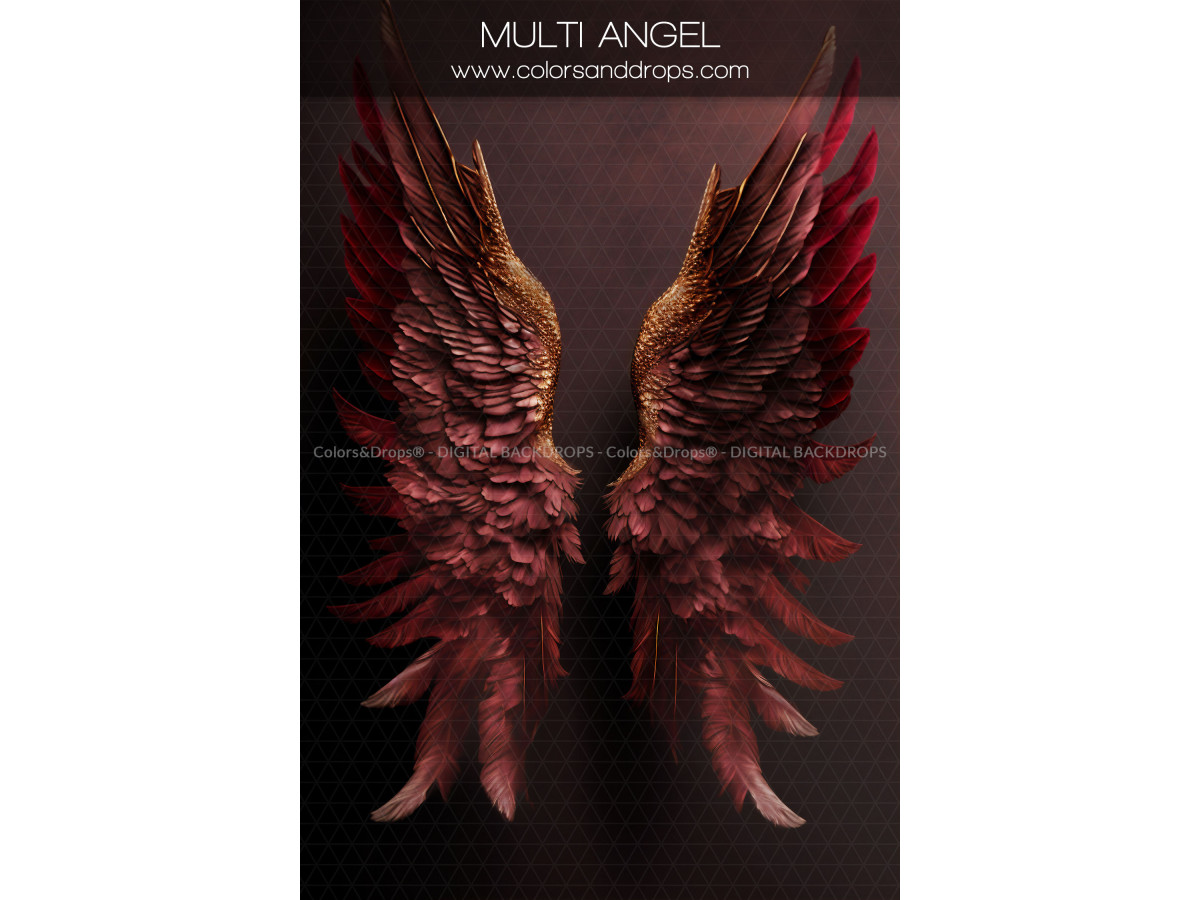 X14 MULTI ANGEL DIGITAL BUNDLE
