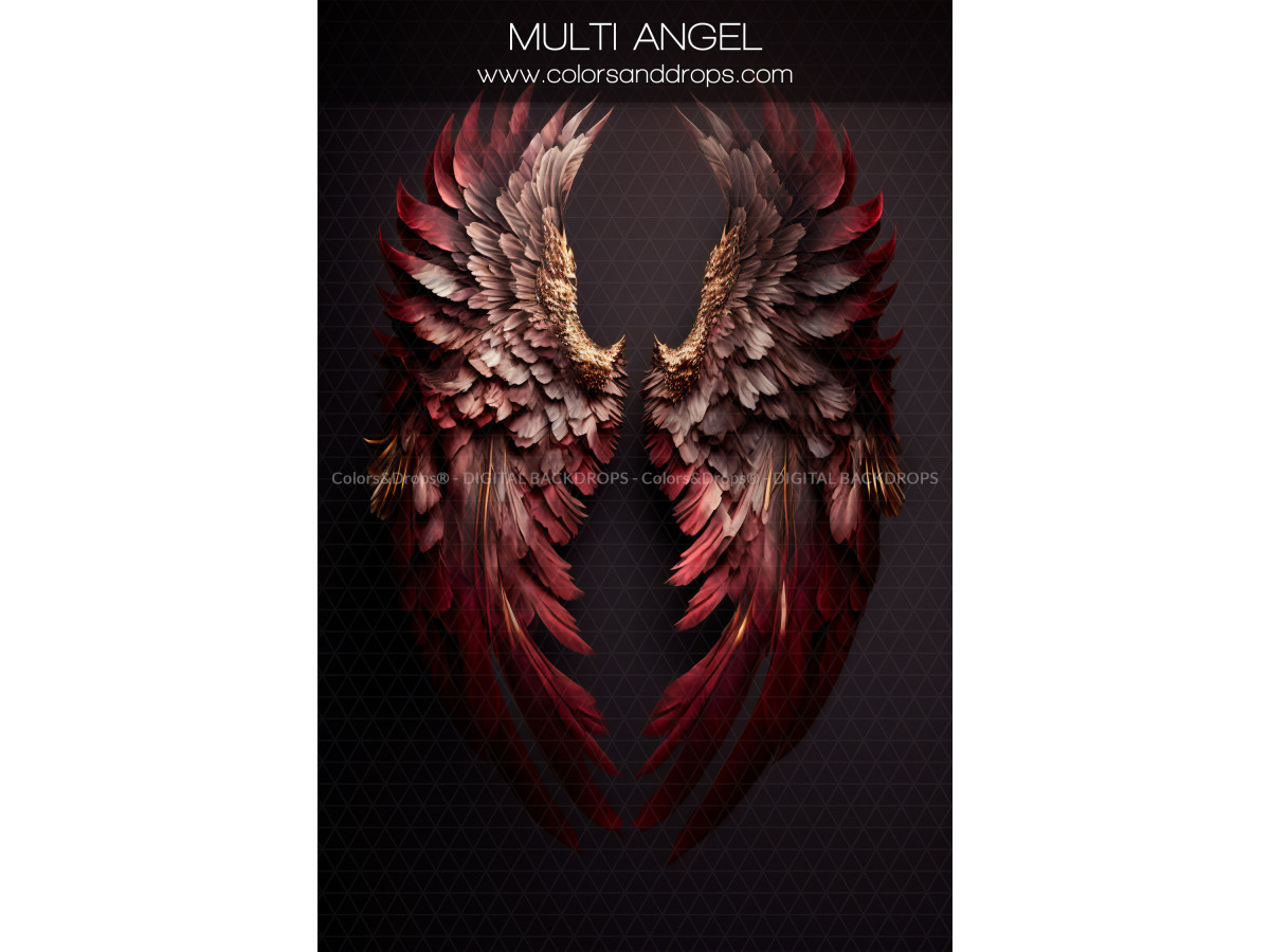 X14 MULTI ANGEL DIGITAL BUNDLE