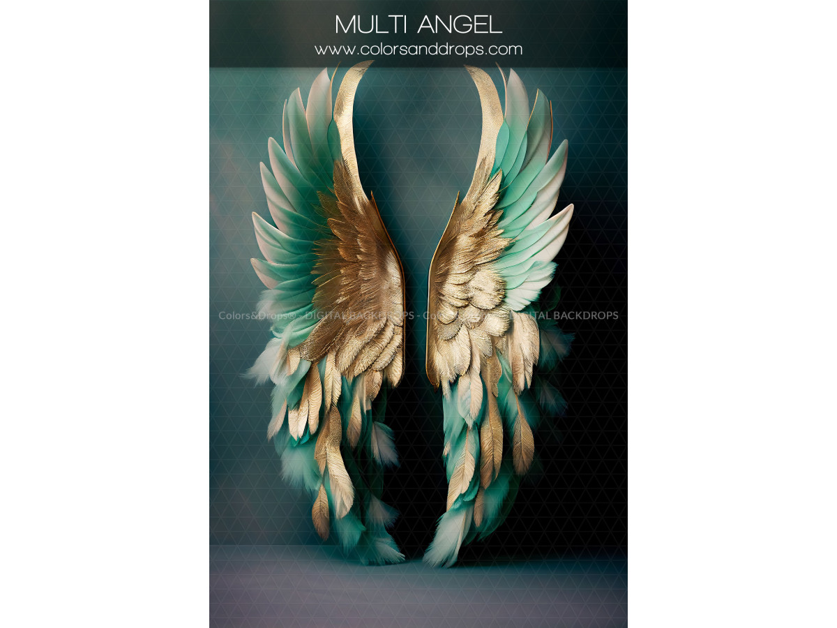 X14 MULTI ANGEL DIGITAL BUNDLE
