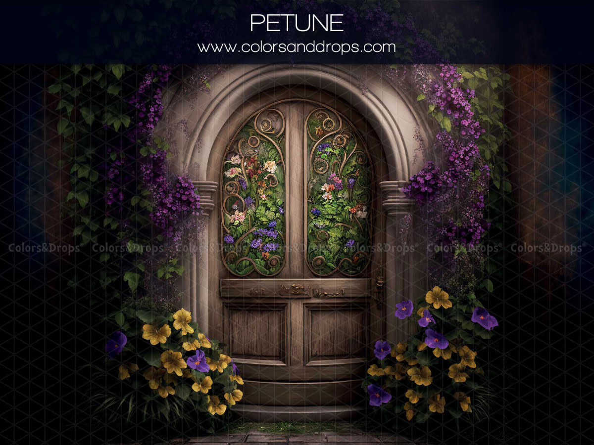 Autumn photo backdrop Petune – arched wooden door with stained glass and purple flowers | Colors&Drops