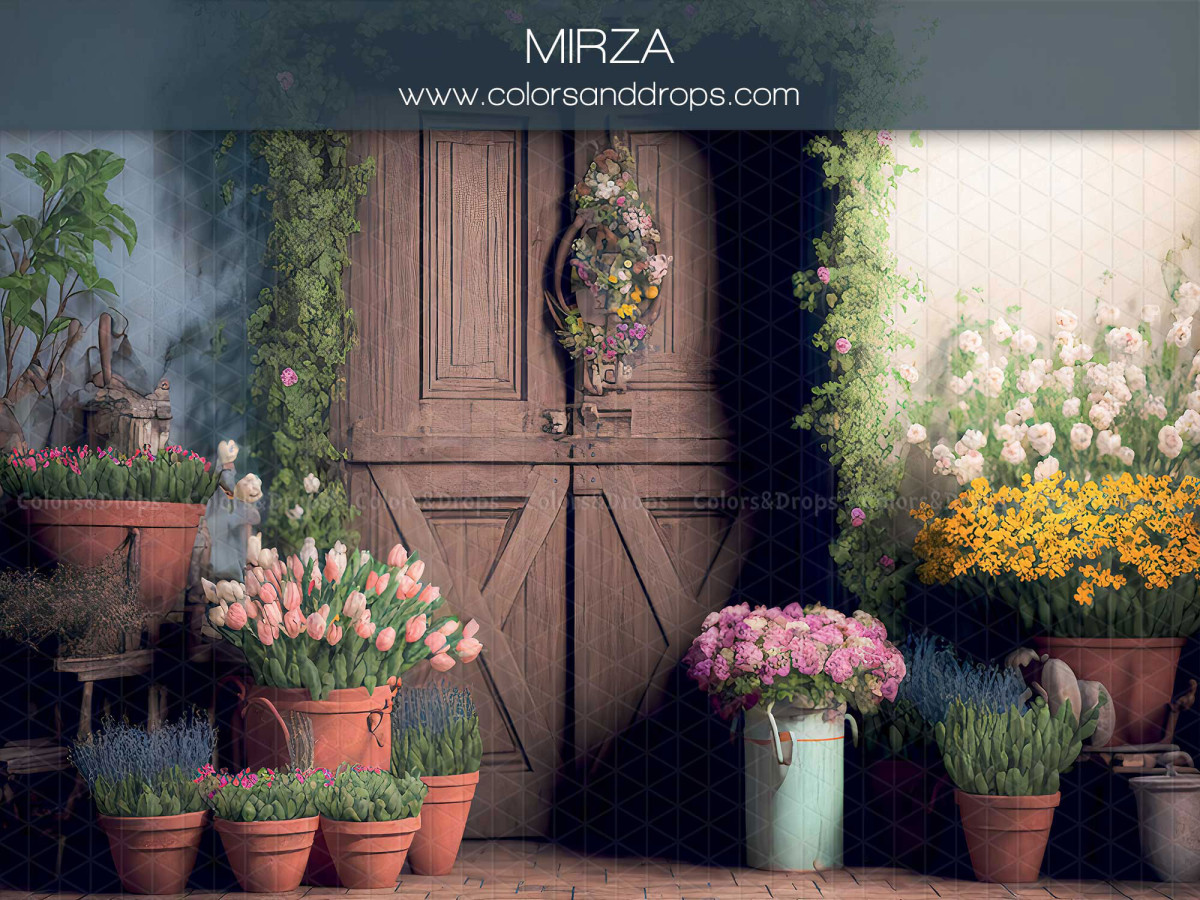 Fond photo de printemps Mirza – porte de grange en bois avec fleurs en pots et arrosoir | Colors&Drops
