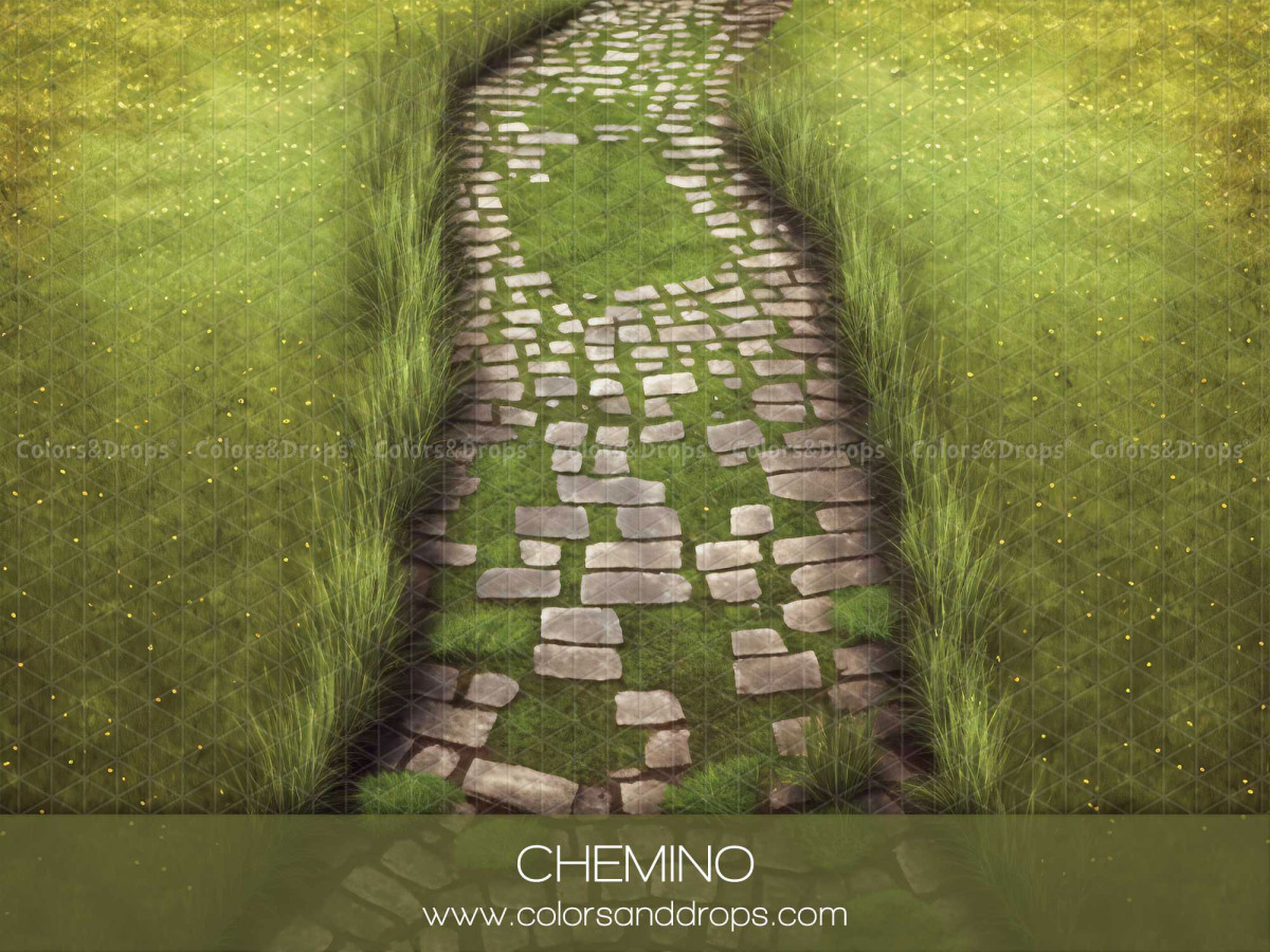 Winter photo backdrop & floor Chemino – cobblestone path through grass seen from above | Colors&Drops
