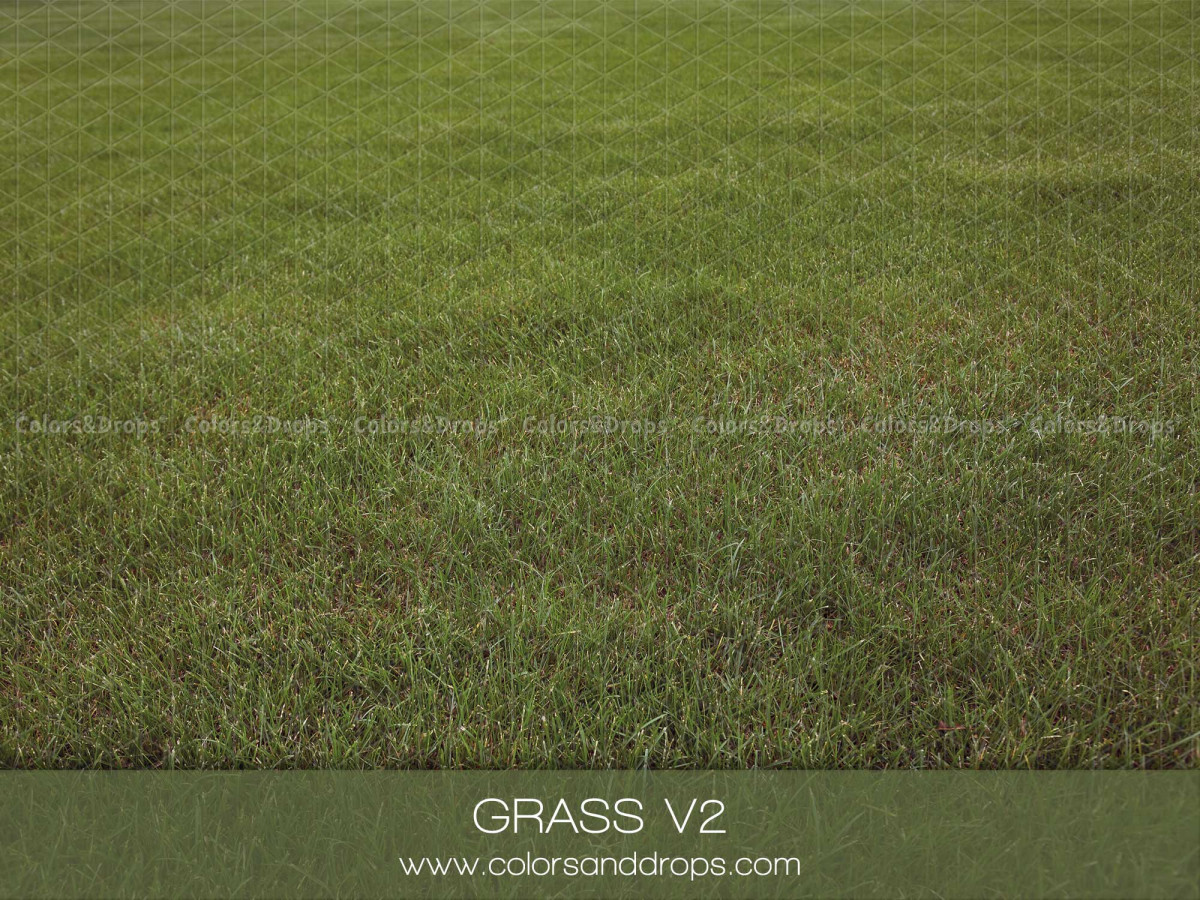 Fond et sol photo d'hiver Grass V2 – pelouse d'herbe verte vue de dessus | Colors&Drops
