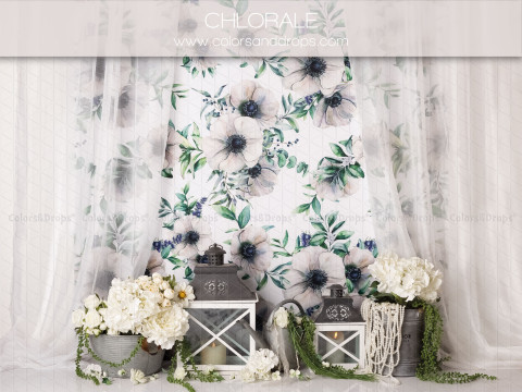 Fondo fotográfico de bebé y smash cake Chlorale – visillos florales blancos con faroles y flores blancas | Colors&Drops