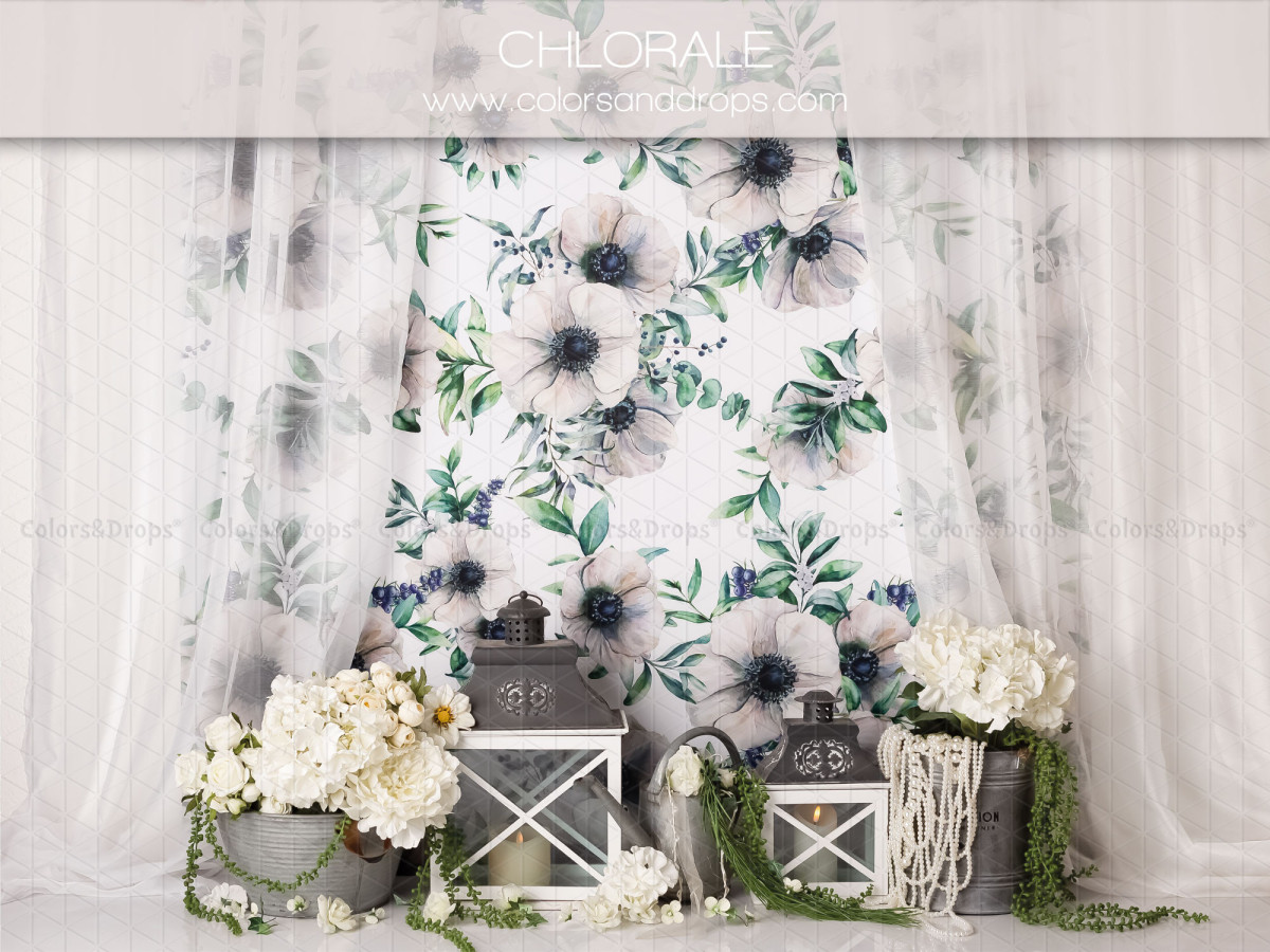 Baby & cake smash photo backdrop Chlorale – white floral sheer curtains with lanterns and white flowers | Colors&Drops