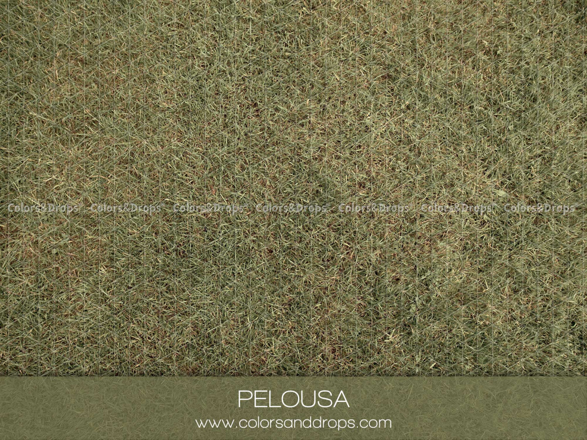 Spring photo backdrop & floor Pelousa – green grass lawn texture | Colors&Drops