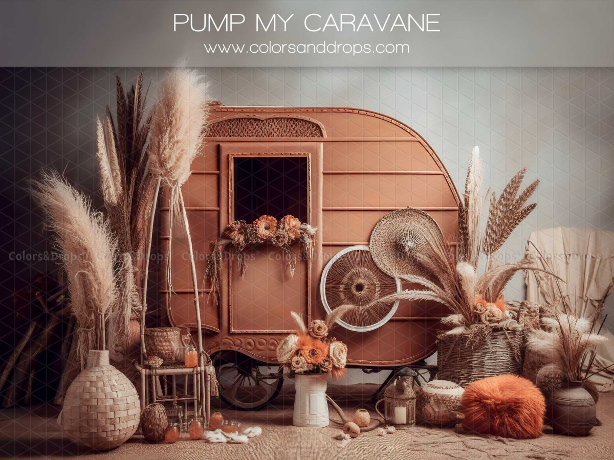 Mother's & Father's Day photo backdrop Pump My Caravane – orange vintage caravan with pampas grass and boho decor | Colors&Drops