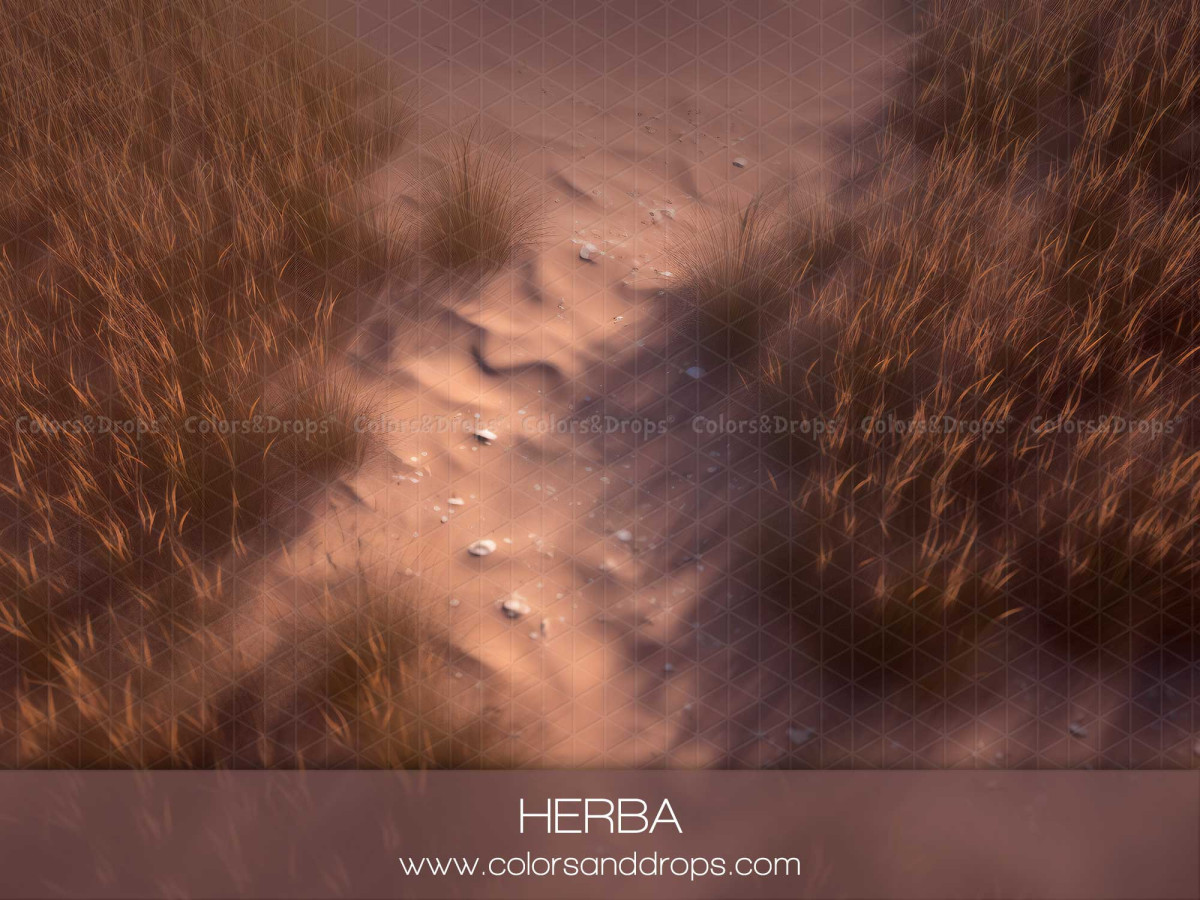 Spring photo backdrop & floor Herba – sand path between tall grasses in pinkish light | Colors&Drops