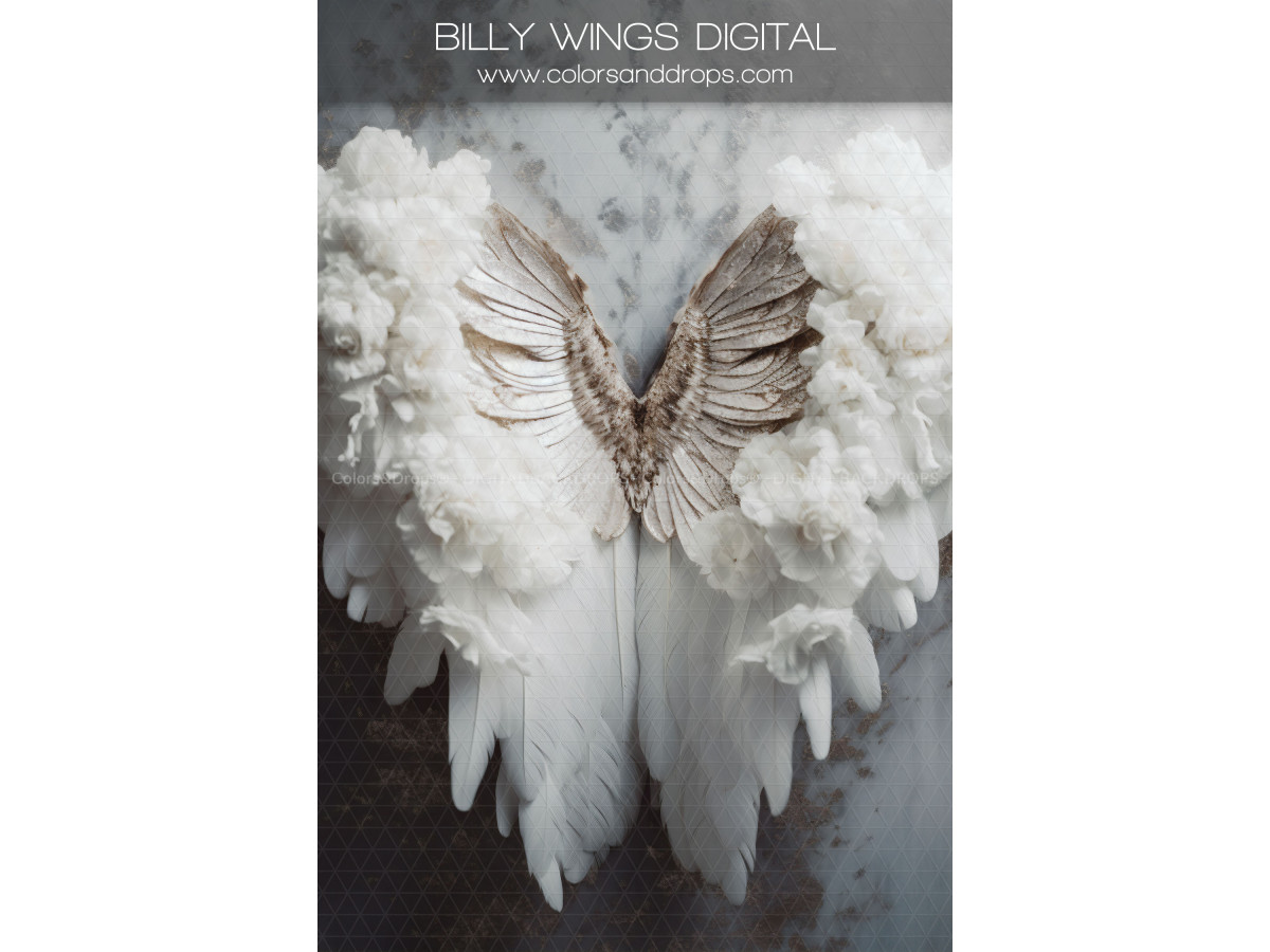 X16 BILLY WINGS DIGITAL BUNDLE
