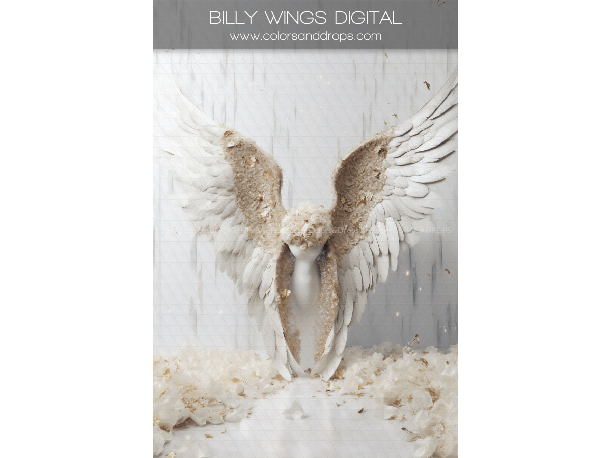 X16 BILLY WINGS DIGITAL BUNDLE