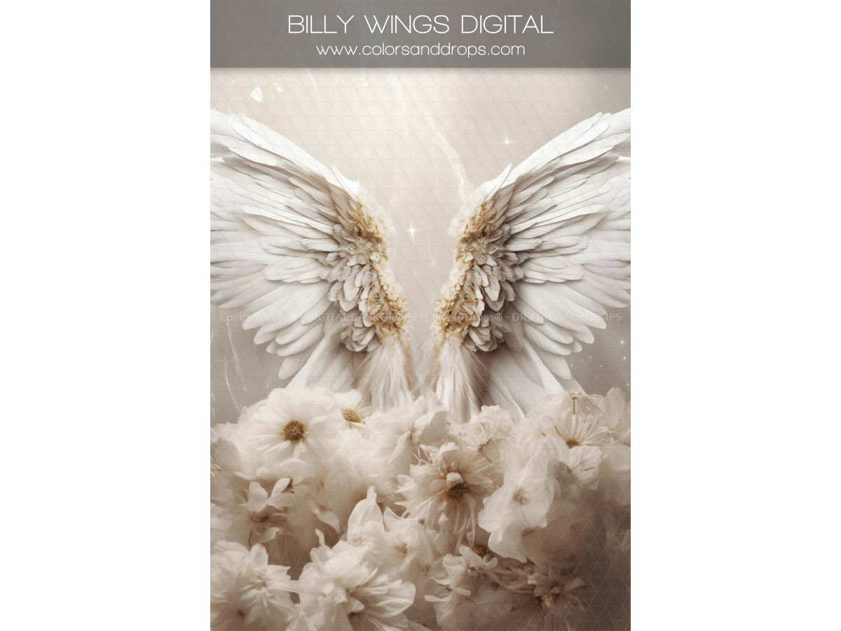 X16 BILLY WINGS DIGITAL BUNDLE