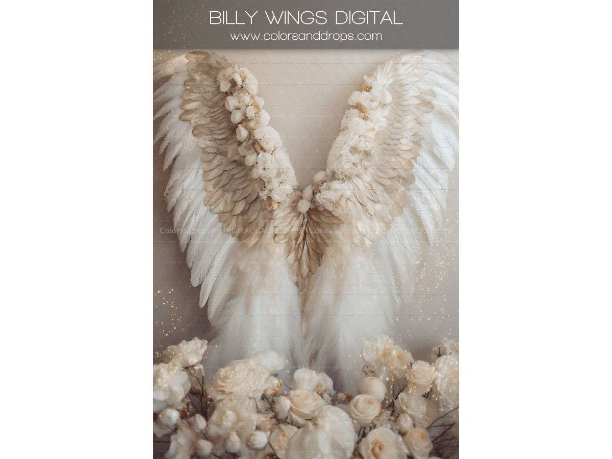 X16 BILLY WINGS DIGITAL BUNDLE