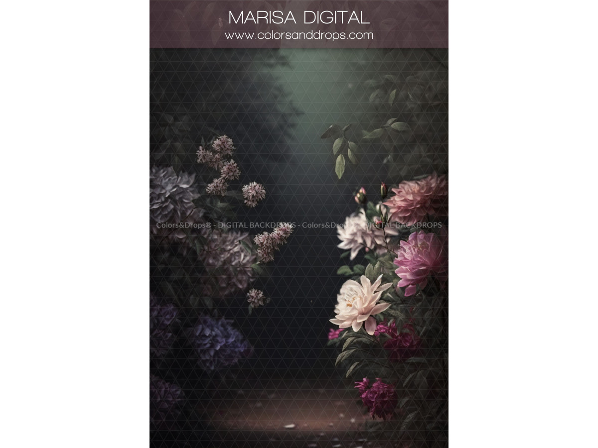 X7 MARISA DIGITAL BUNDLE