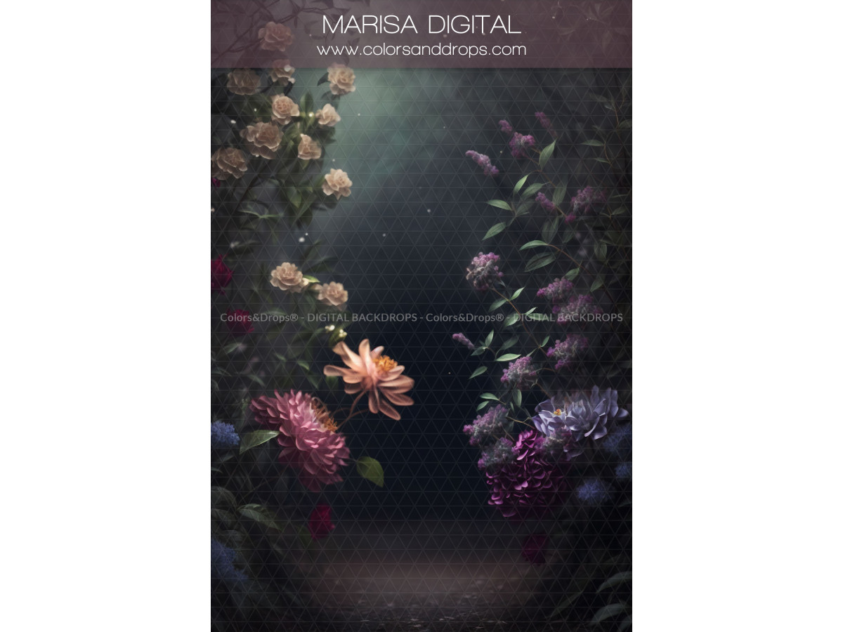 X7 MARISA DIGITAL BUNDLE
