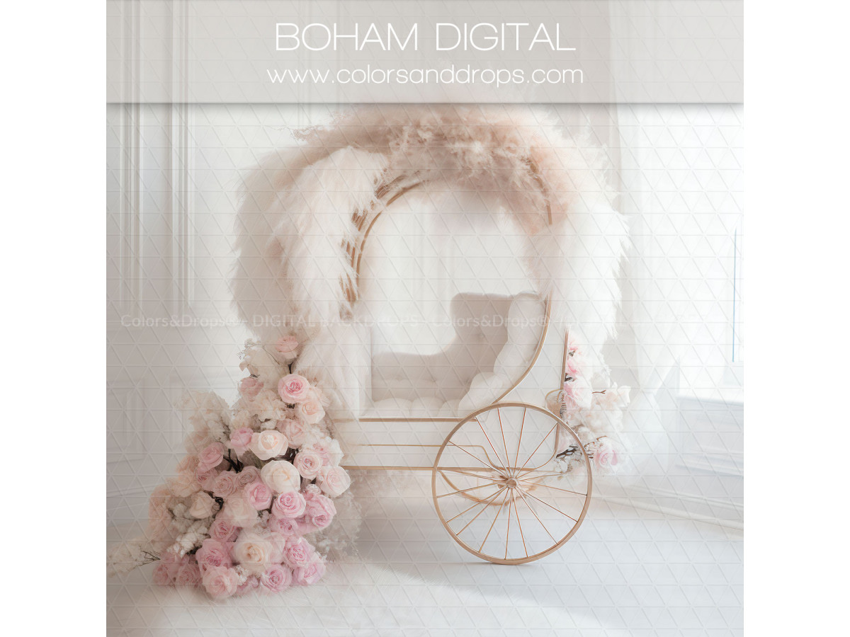 X12 BOHAM DIGITAL BUNDLE