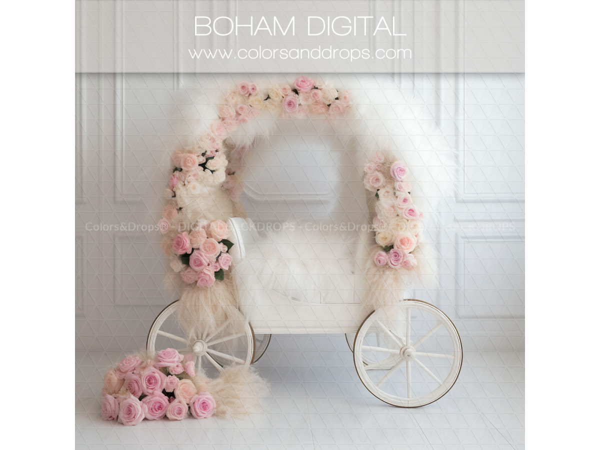 X12 BOHAM DIGITAL BUNDLE