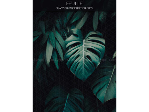 Fondo fotográfico de embarazo y retrato Feuille – hojas de monstera verde oscuro sobre fondo negro | Colors&Drops