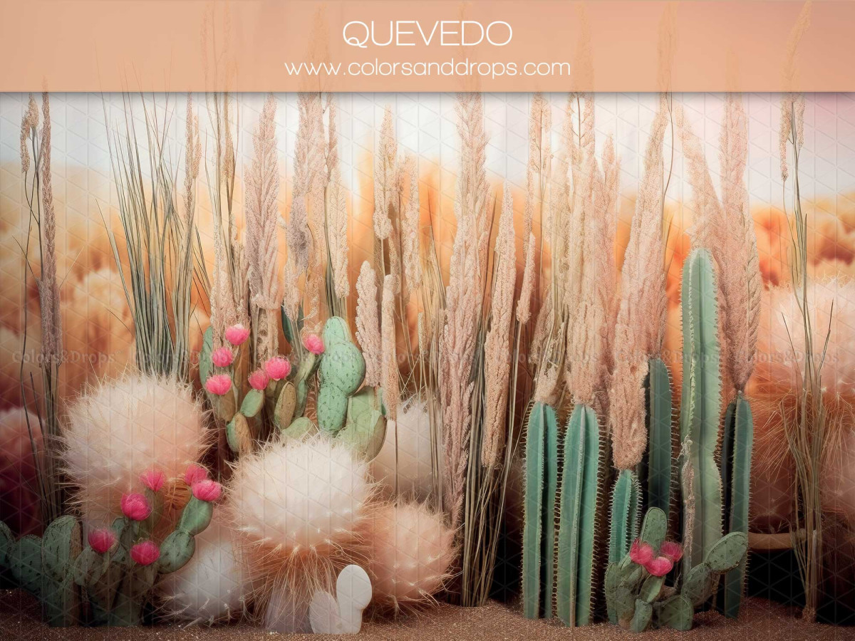 Fond photo bébé et smash cake Quevedo – cactus et herbes de pampa dans le désert | Colors&Drops