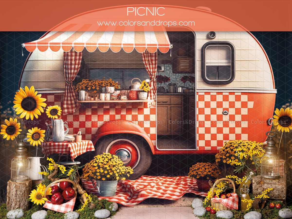 Fond photo bébé et smash cake Picnic – caravane rouge à carreaux avec tournesols et pique-nique | Colors&Drops