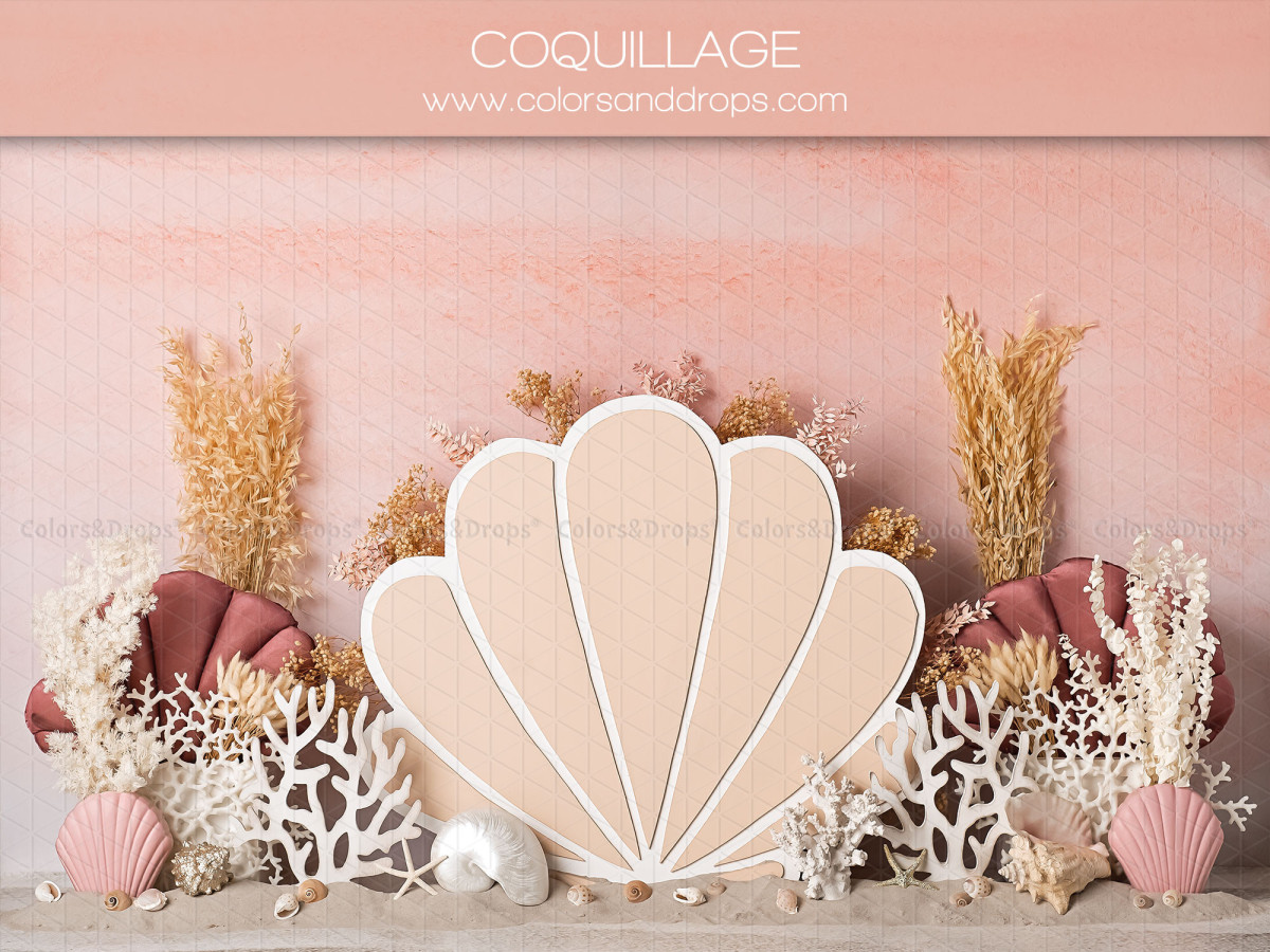 Fond photo bébé et smash cake Coquillage – coquillage géant avec coraux et herbes sèches sur fond rose | Colors&Drops
