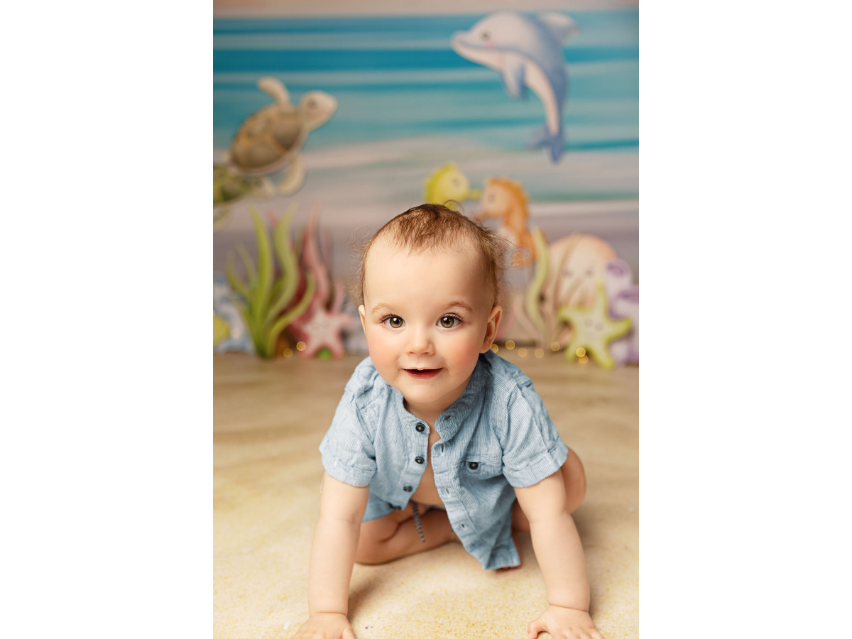 Fond photo bébé et smash cake Poulpea – fond marin avec dauphin, tortues, raie et hippocampes | Colors&Drops