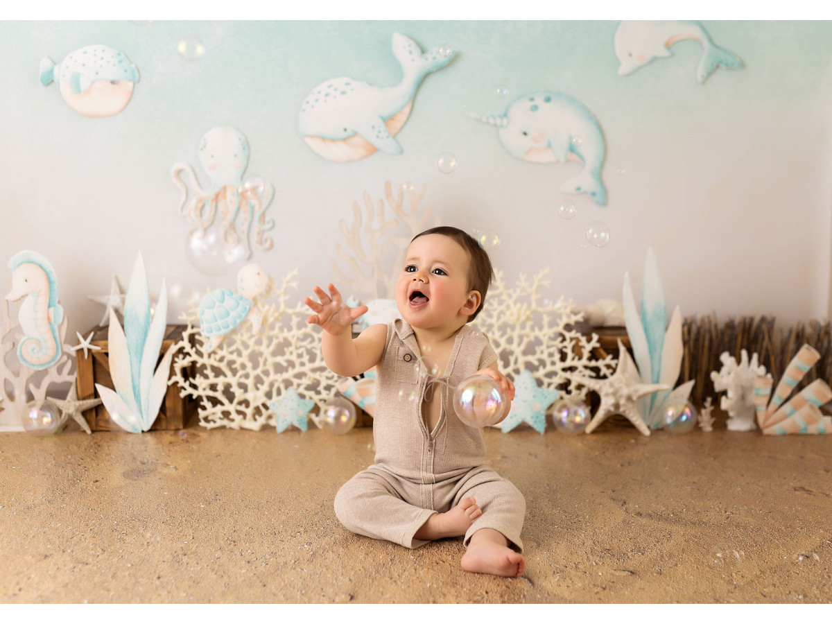 Fond photo bébé et smash cake Coraya – décor sous-marin avec dauphins, poissons et coraux | Colors&Drops