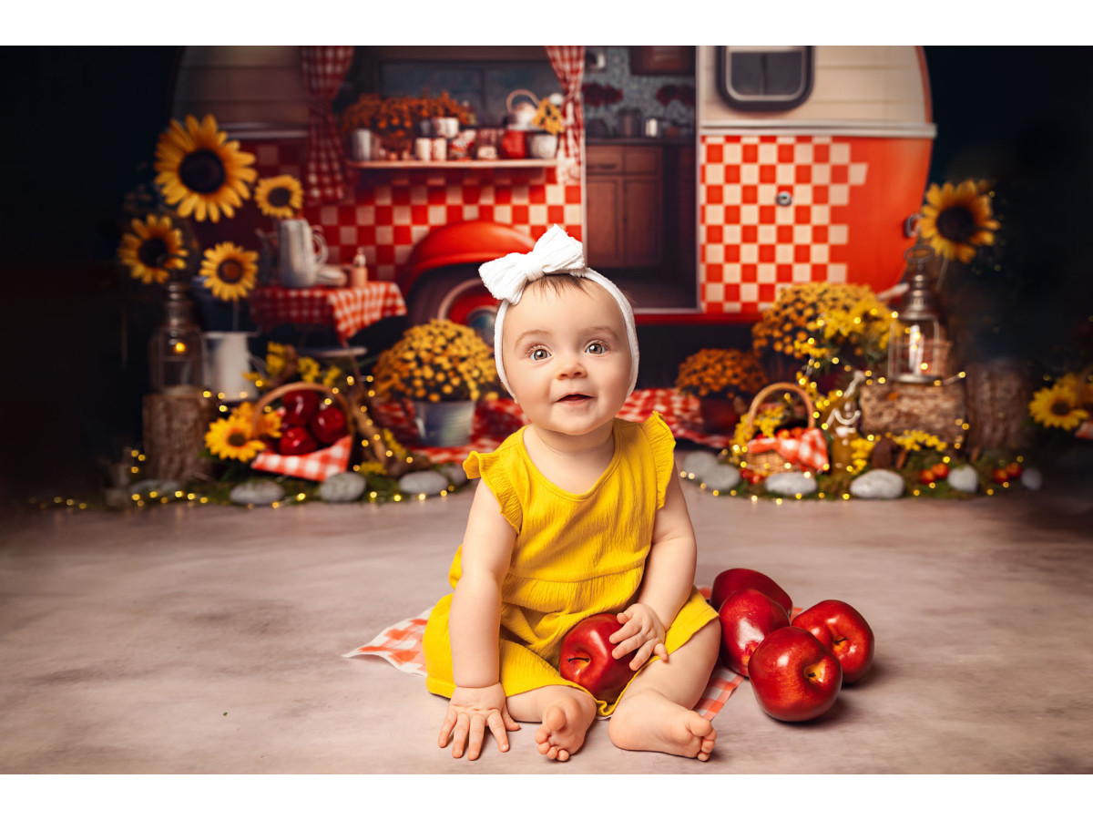 Fond photo bébé et smash cake Picnic – caravane rouge à carreaux avec tournesols et pique-nique | Colors&Drops