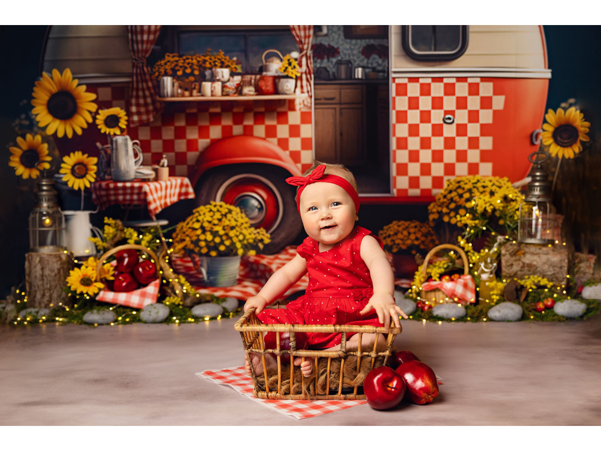 Fond photo bébé et smash cake Picnic – caravane rouge à carreaux avec tournesols et pique-nique | Colors&Drops
