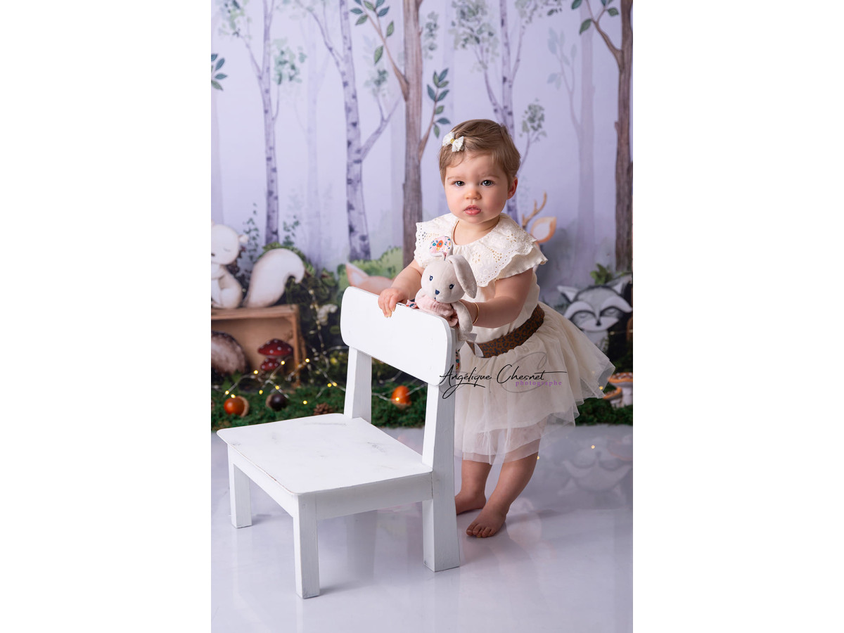 Baby & cake smash photo backdrop Woodland – birch forest with plush animals | Colors&Drops