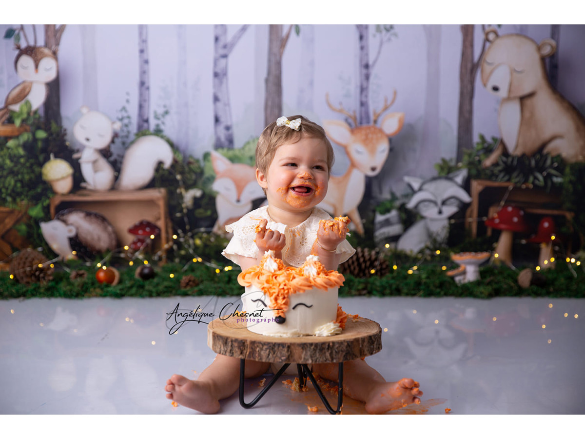 Baby & cake smash photo backdrop Woodland – birch forest with plush animals | Colors&Drops