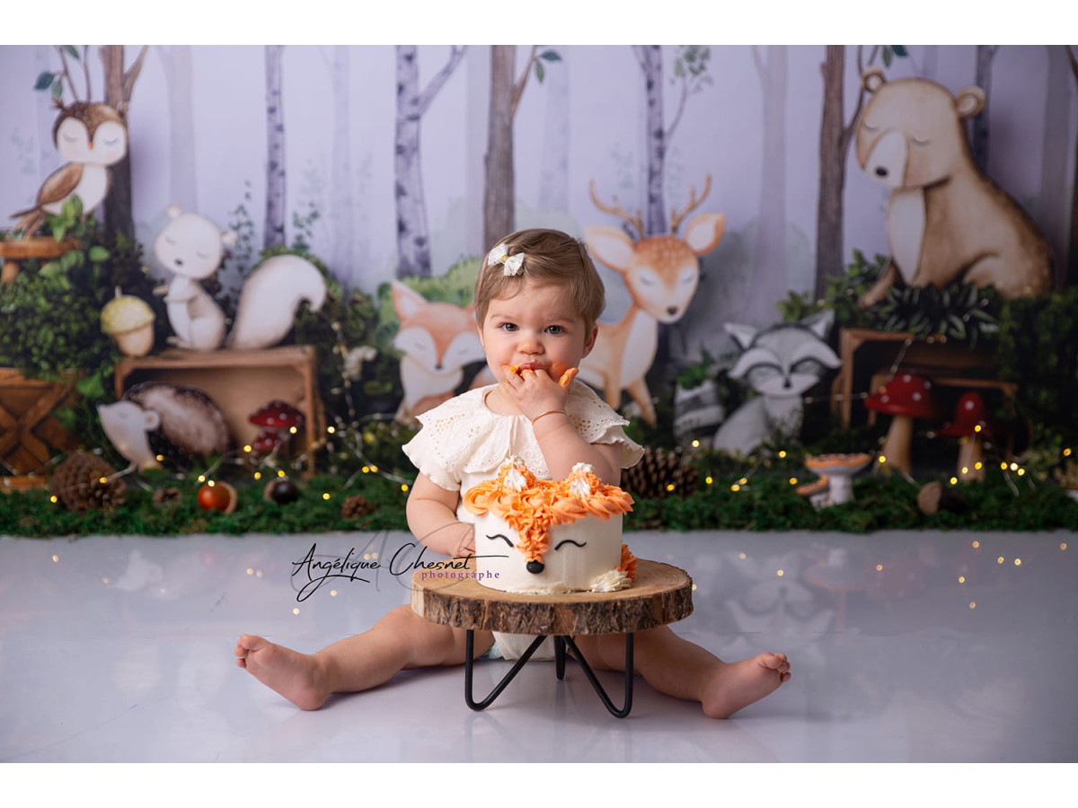 Baby & cake smash photo backdrop Woodland – birch forest with plush animals | Colors&Drops