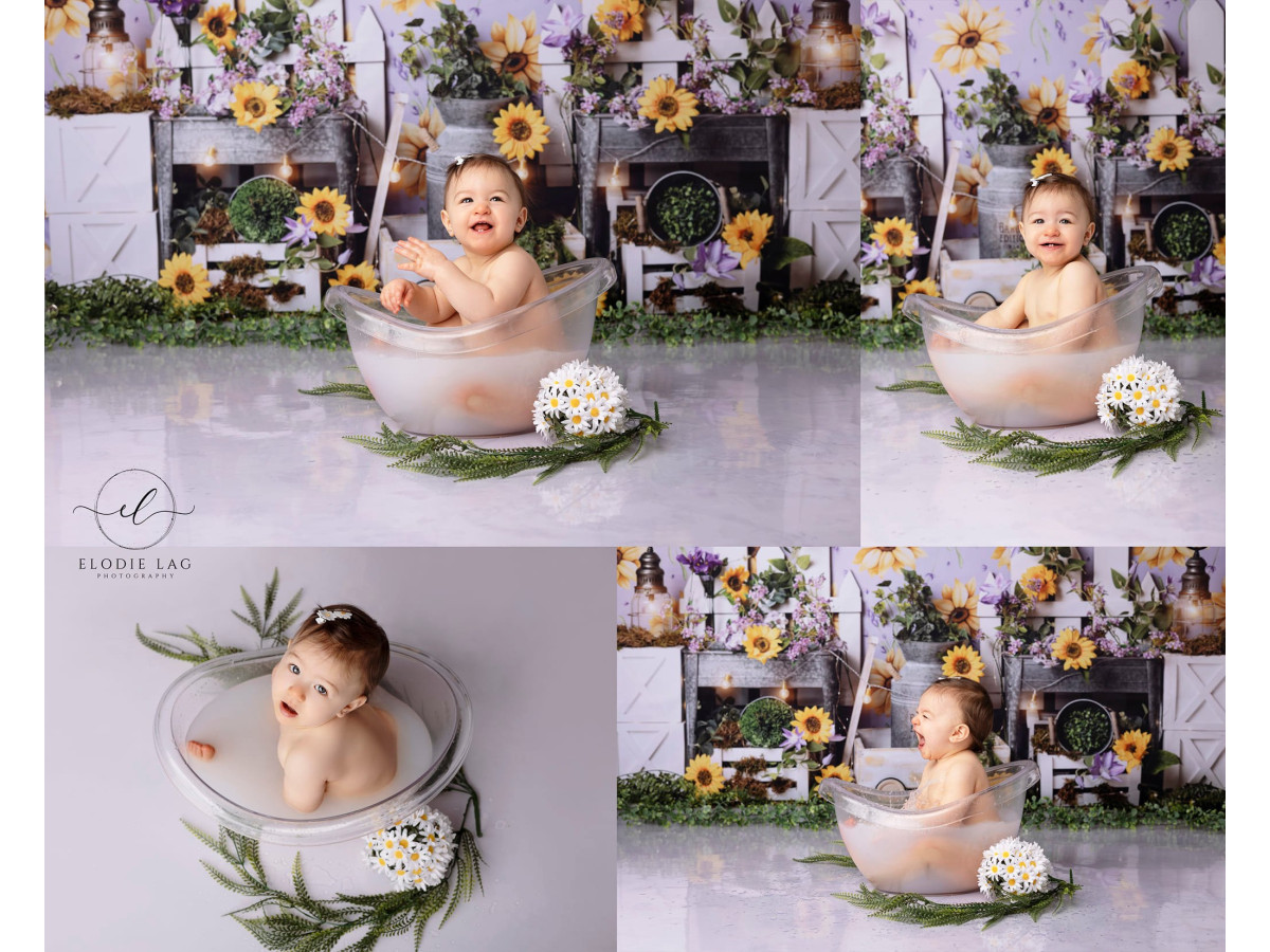 Fond photo bébé et smash cake Girasol – papier peint tournesols avec clôture, lanternes et fleurs | Colors&Drops