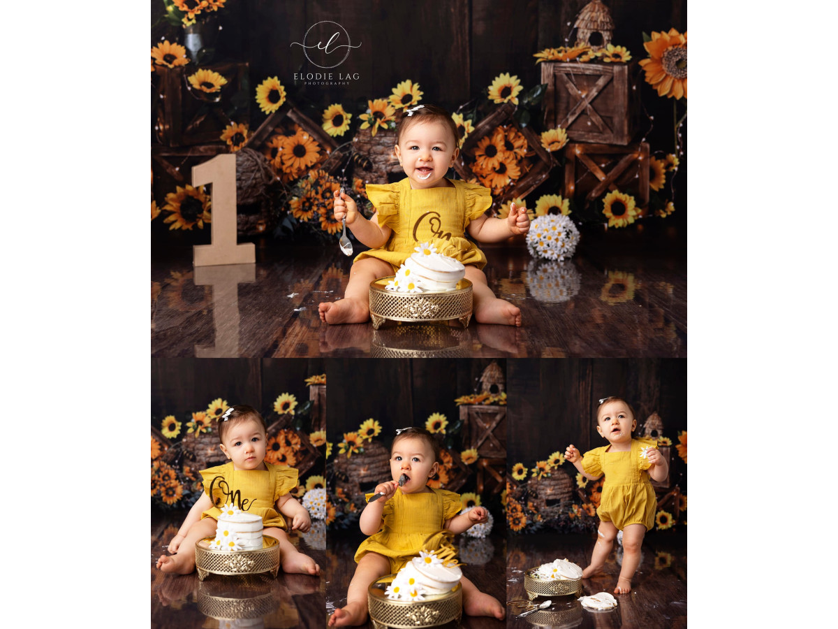 Baby & cake smash photo backdrop Sunflowerbee – sunflowers and beehives on a dark wooden wall | Colors&Drops
