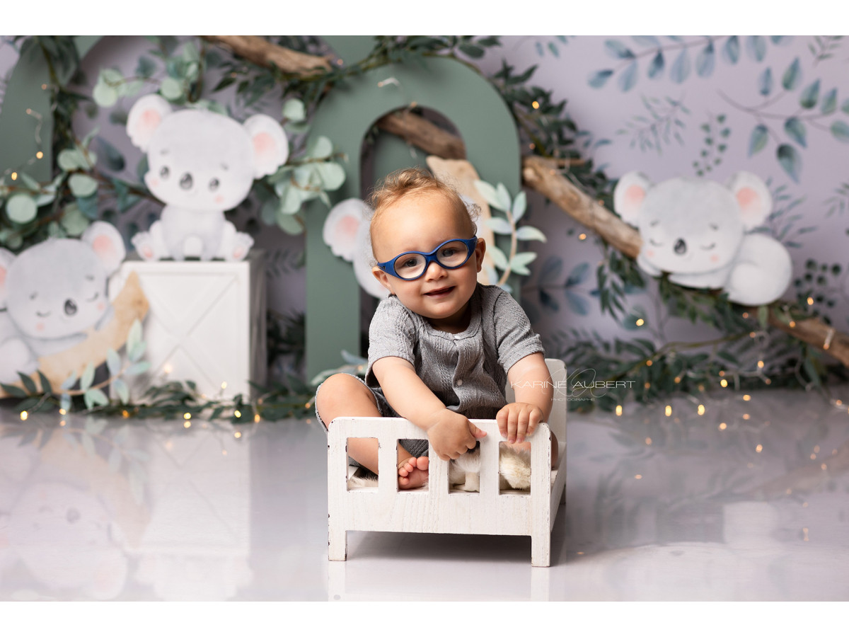 Fondo fotográfico de bebé y smash cake Koala – koalas de peluche con arcos verdes y eucalipto | Colors&Drops
