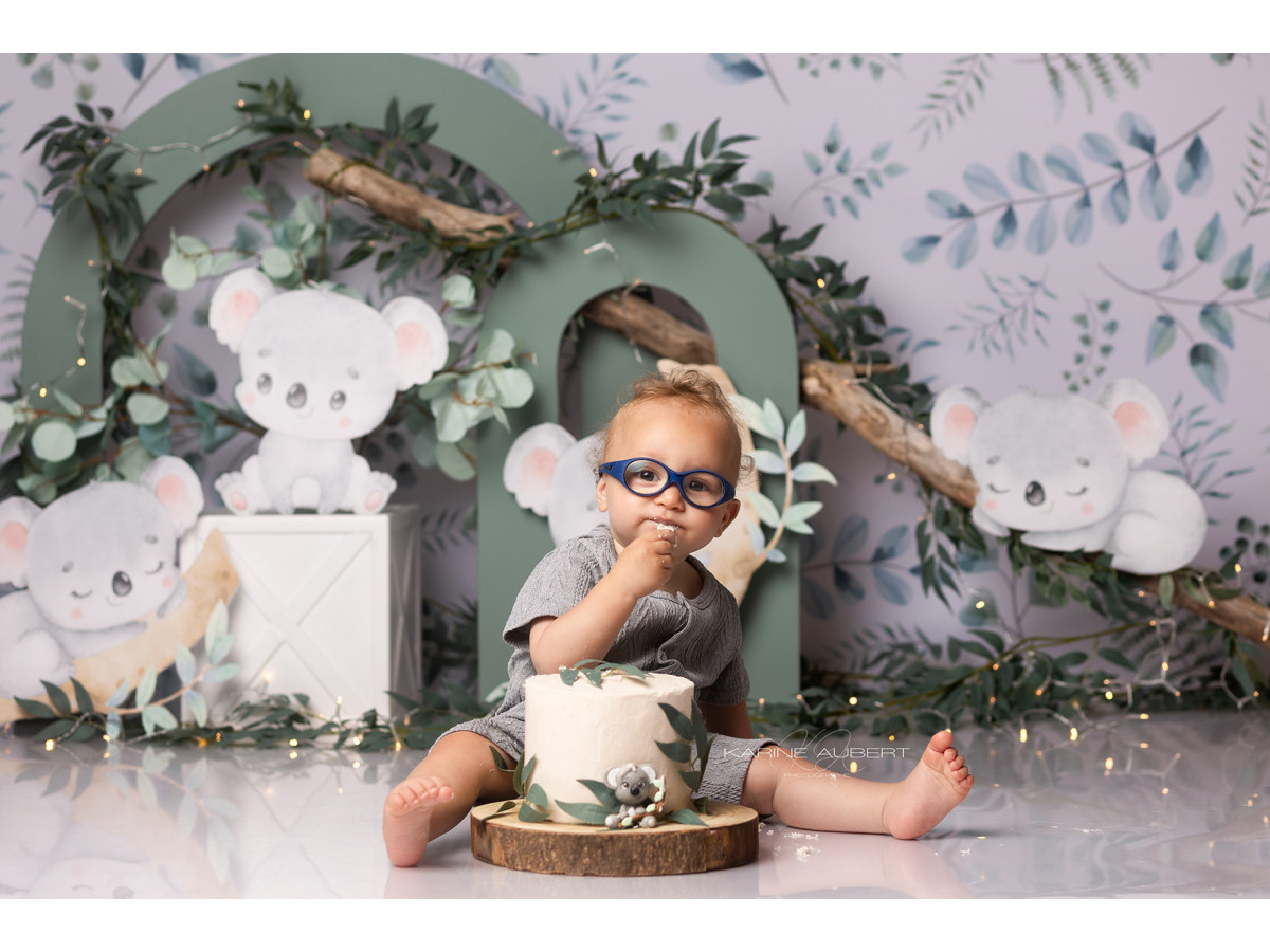 Fondo fotográfico de bebé y smash cake Koala – koalas de peluche con arcos verdes y eucalipto | Colors&Drops