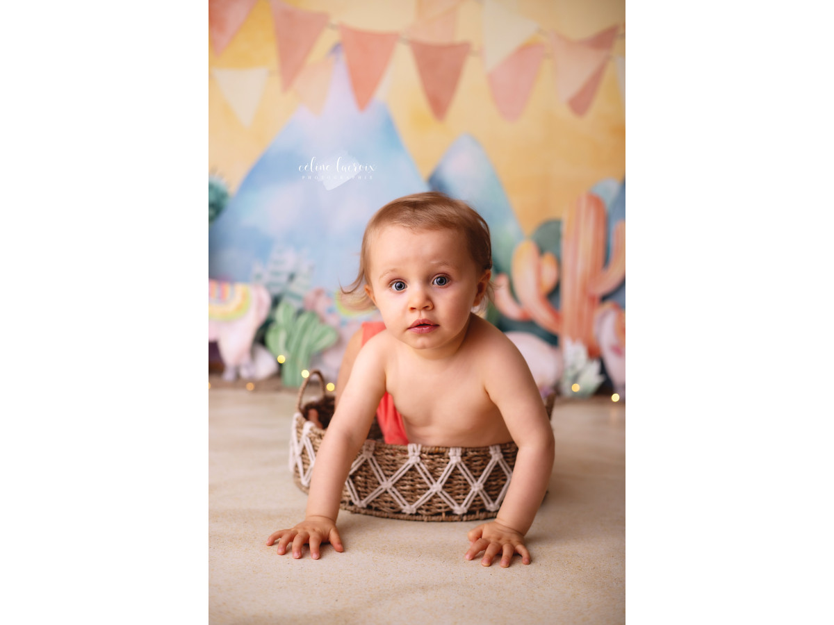 Fond photo bébé et smash cake Lamos – décor lamas et cactus avec montagnes et fanions | Colors&Drops