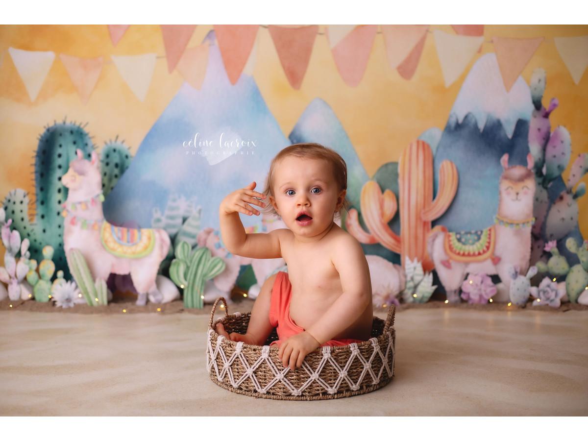 Fond photo bébé et smash cake Lamos – décor lamas et cactus avec montagnes et fanions | Colors&Drops