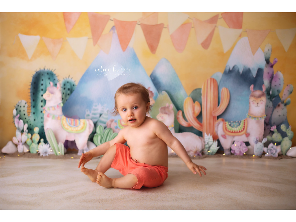 Fond photo bébé et smash cake Lamos – décor lamas et cactus avec montagnes et fanions | Colors&Drops