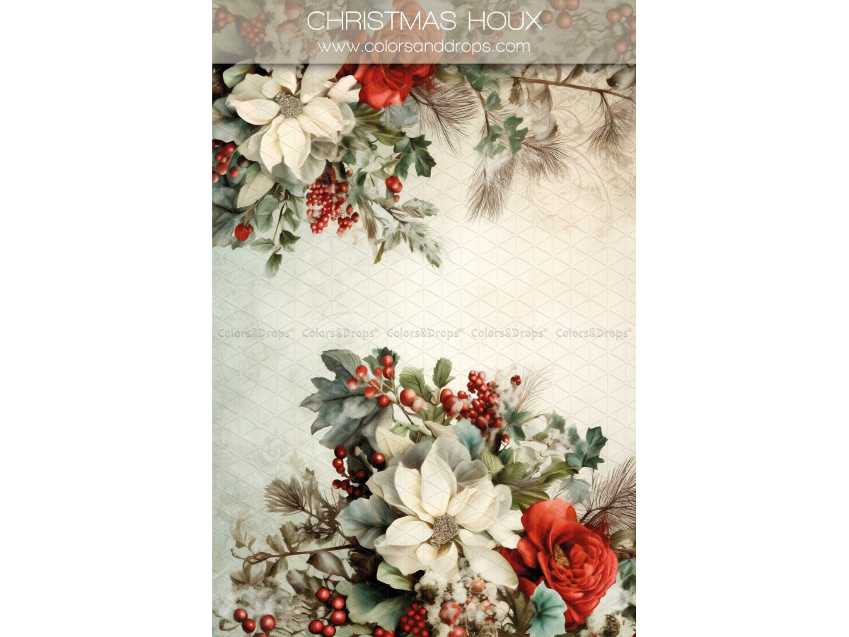 Fond photo grossesse et portrait Christmas Houx – fond papier crème avec houx, poinsettias et baies | Colors&Drops