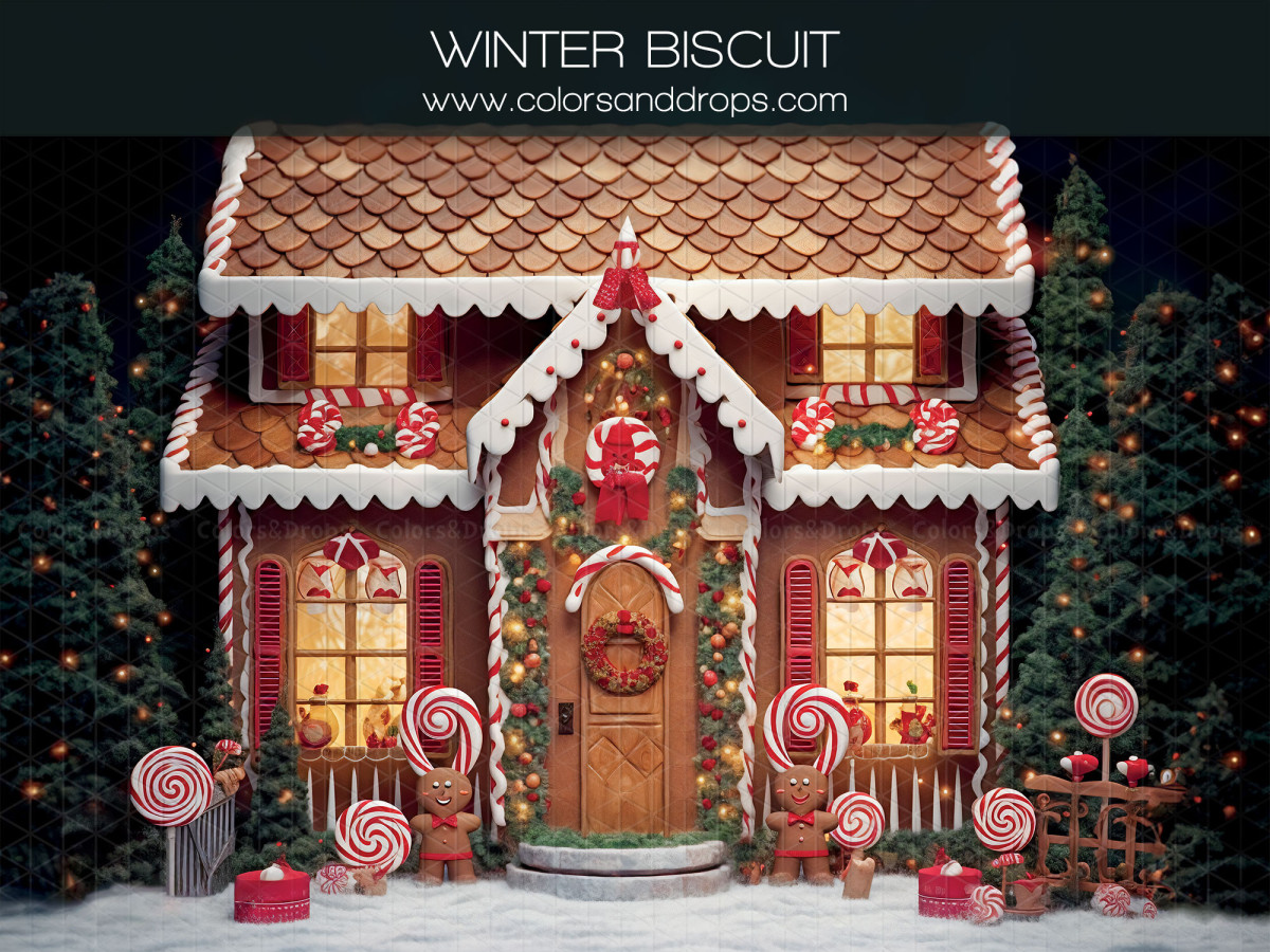 Fondo fotográfico de Navidad Winter Biscuit – casa de jengibre decorada con bastones de caramelo de noche | Colors&Drops