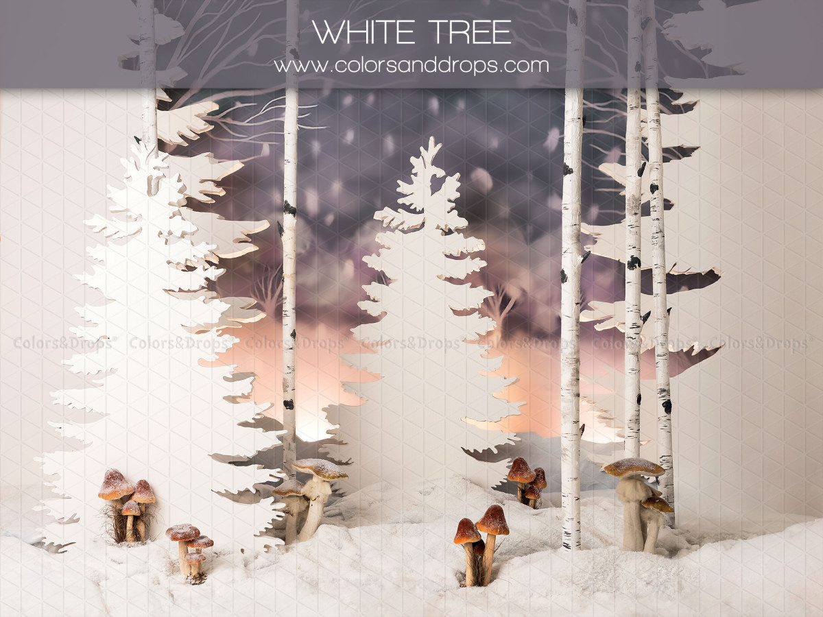 Fond photo de Noël White Tree – forêt de sapins blancs et bouleaux avec champignons | Colors&Drops